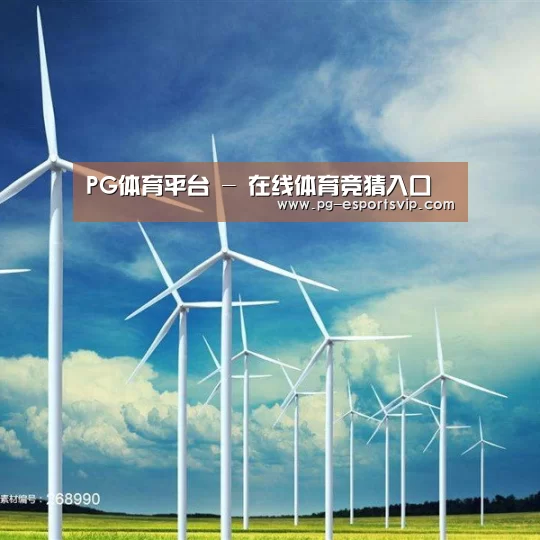 风能