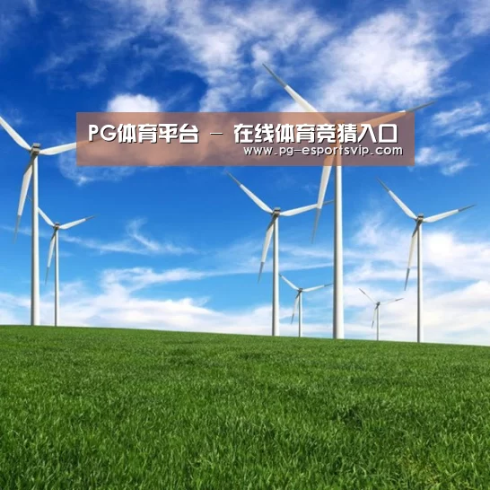 风能