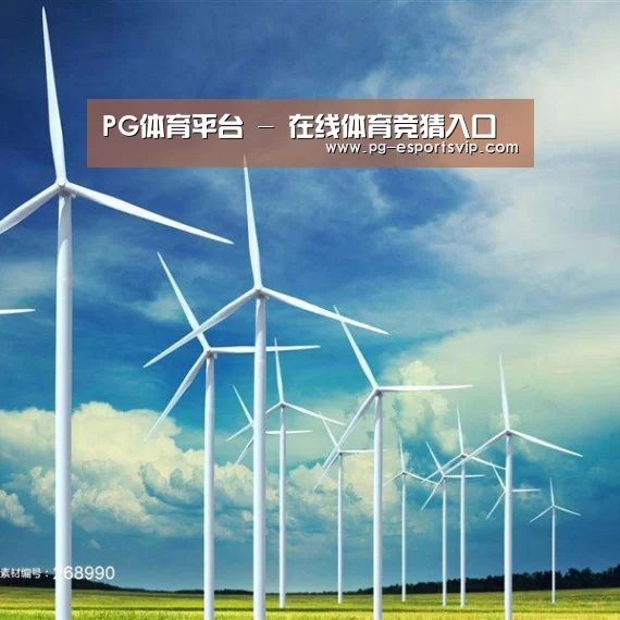 风能