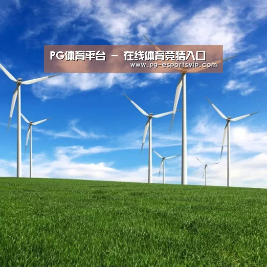 风能
