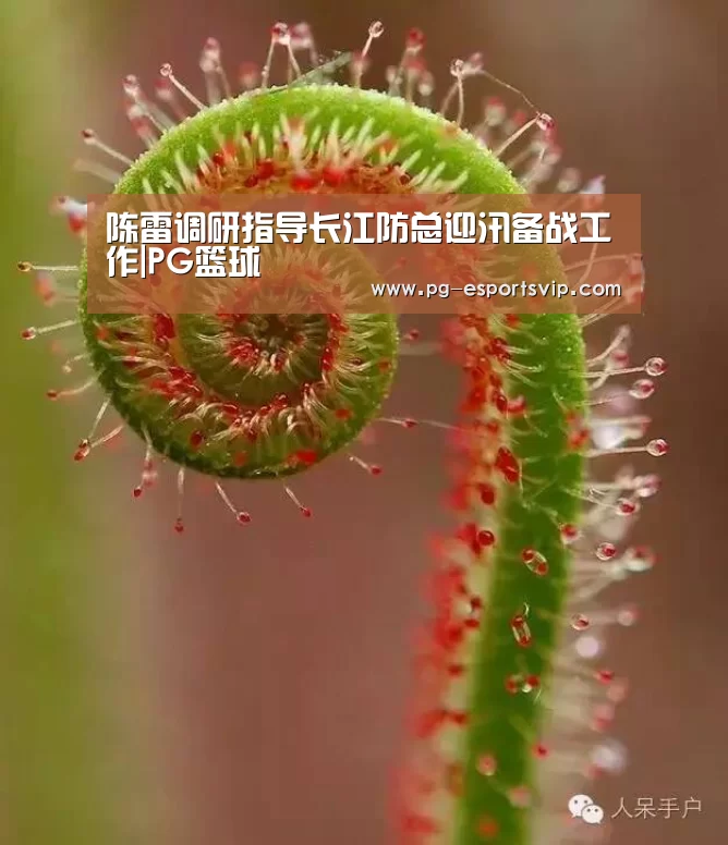 PG竞猜