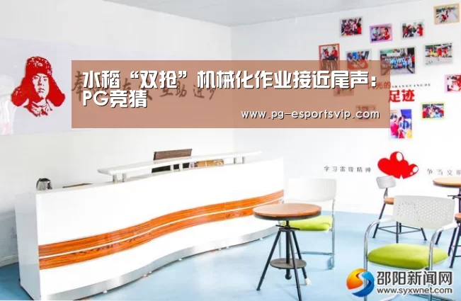 PG篮球