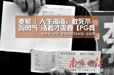麦家 | 人生海海,敢死不叫勇气 活着才需要【PG竞猜】(图4) PG竞猜