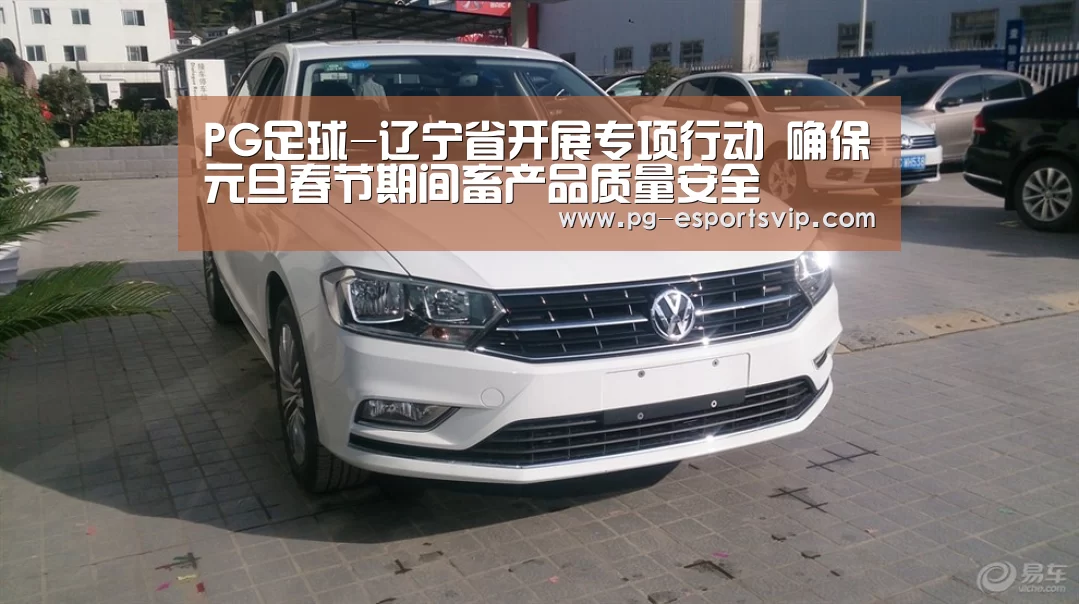 PG足球-辽宁省开展专项行动 确保元旦春节期间畜产品质量安全(图1) PG足球