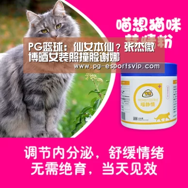 PG篮球