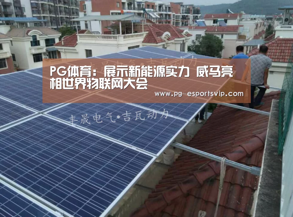 PG体育:展示新能源实力 威马亮相世界物联网大会(图1) PG篮球