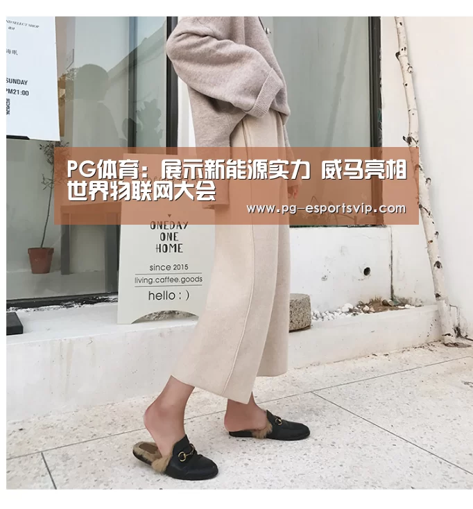 PG体育:展示新能源实力 威马亮相世界物联网大会(图3) PG足球