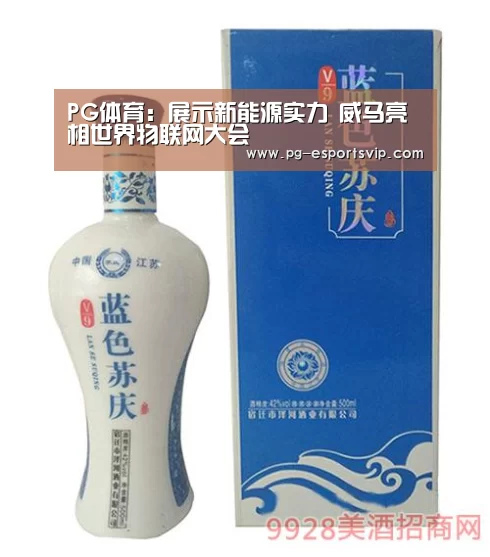 PG体育:展示新能源实力 威马亮相世界物联网大会(图4) PG竞猜